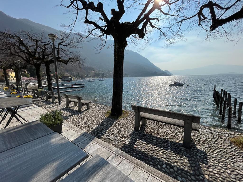 Il Sole Di Calde Lago Maggiore 504 Castelveccana Ngoại thất bức ảnh